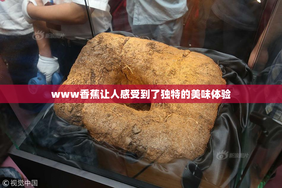 www香蕉让人感受到了独特的美味体验