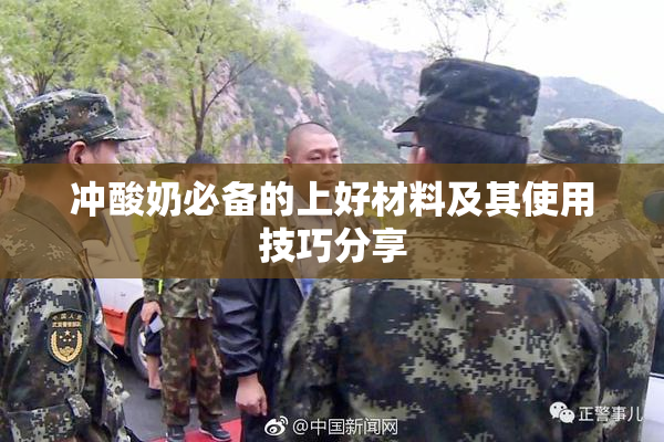 冲酸奶必备的上好材料及其使用技巧分享