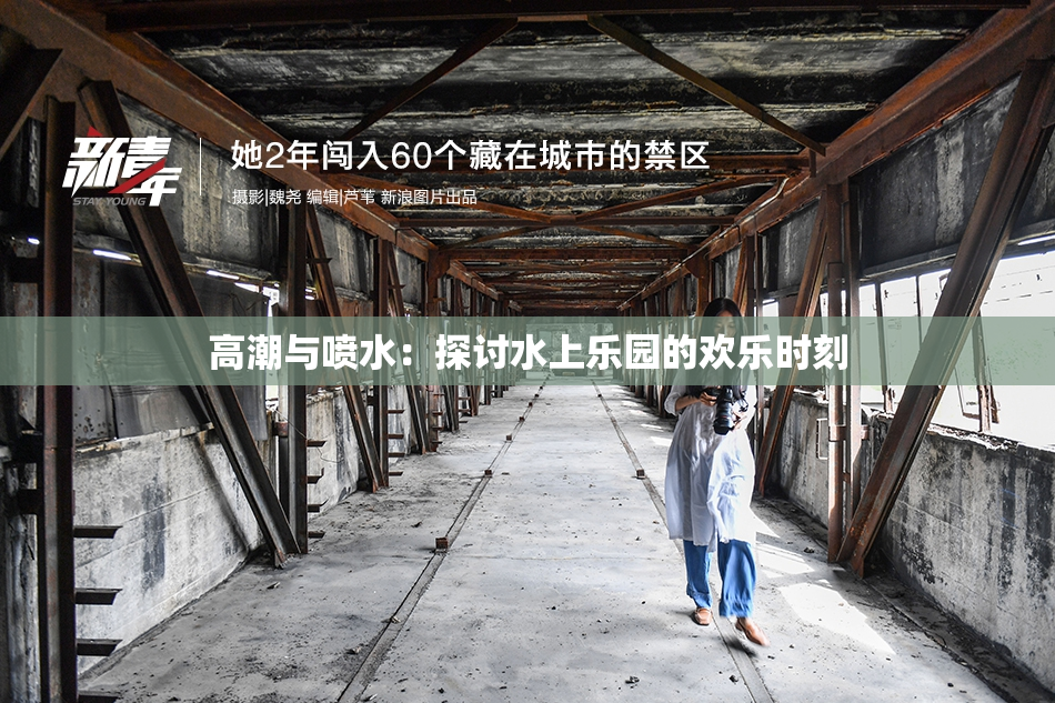 高潮与喷水：探讨水上乐园的欢乐时刻