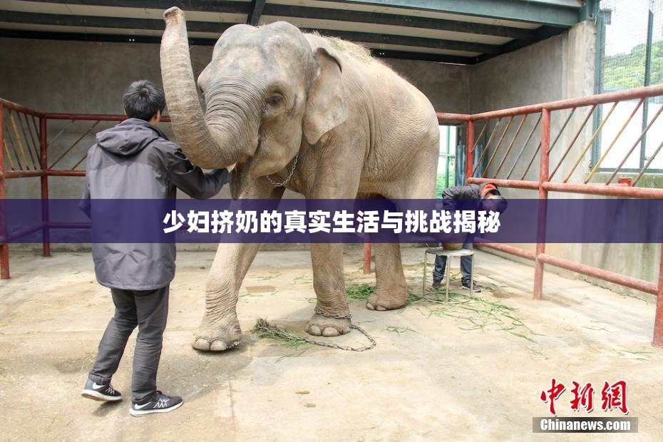 少妇挤奶的真实生活与挑战揭秘