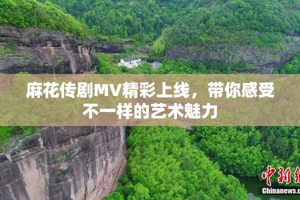 麻花传剧MV精彩上线，带你感受不一样的艺术魅力