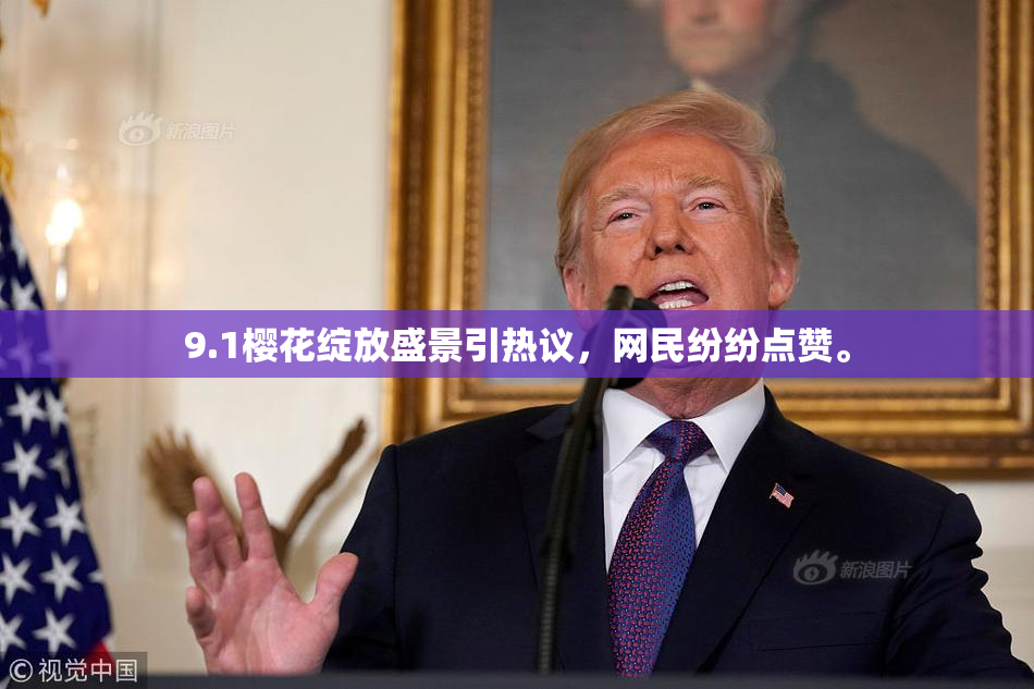 9.1樱花绽放盛景引热议，网民纷纷点赞。