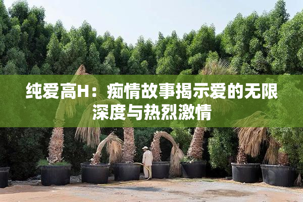 纯爱高H：痴情故事揭示爱的无限深度与热烈激情