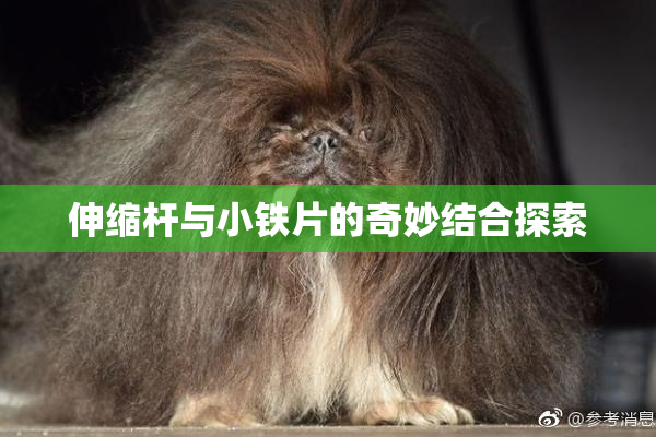 伸缩杆与小铁片的奇妙结合探索