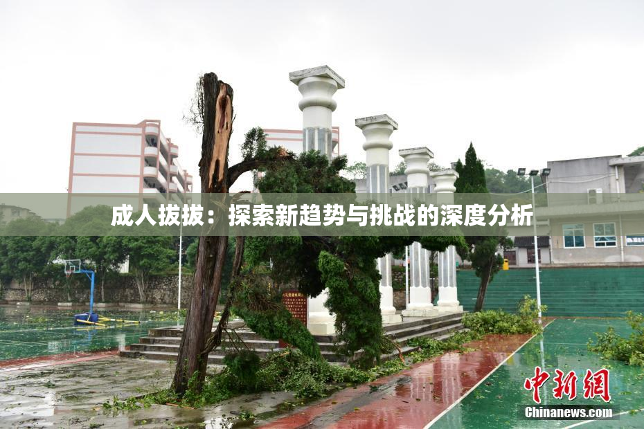 成人拔拔：探索新趋势与挑战的深度分析