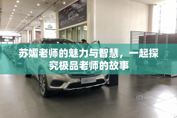 苏媚老师的魅力与智慧，一起探究极品老师的故事