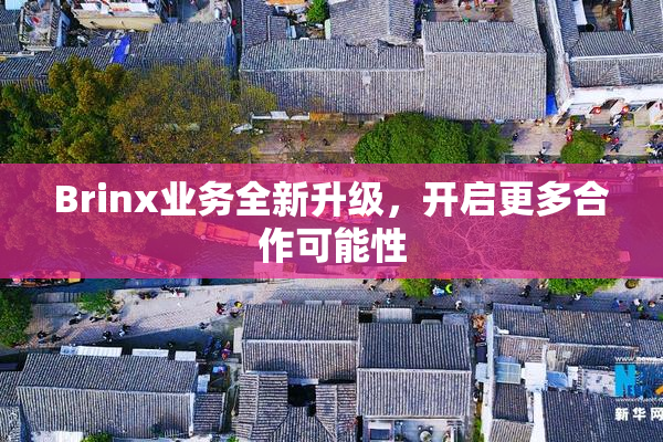 Brinx业务全新升级，开启更多合作可能性