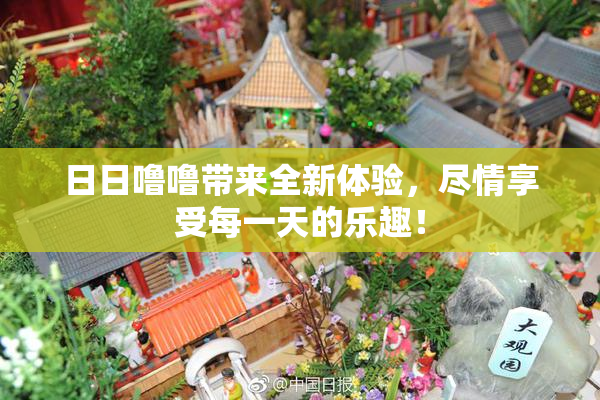 日日噜噜带来全新体验，尽情享受每一天的乐趣！
