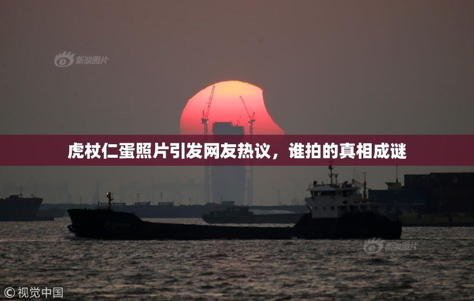 虎杖仁蛋照片引发网友热议，谁拍的真相成谜