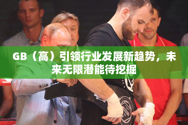 GB（高）引领行业发展新趋势，未来无限潜能待挖掘