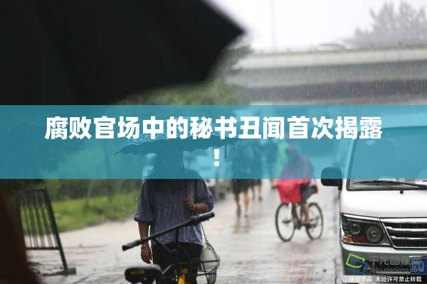 腐败官场中的秘书丑闻首次揭露！