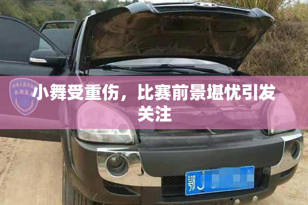 小舞受重伤，比赛前景堪忧引发关注