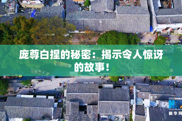 庞尊白捏的秘密：揭示令人惊讶的故事！