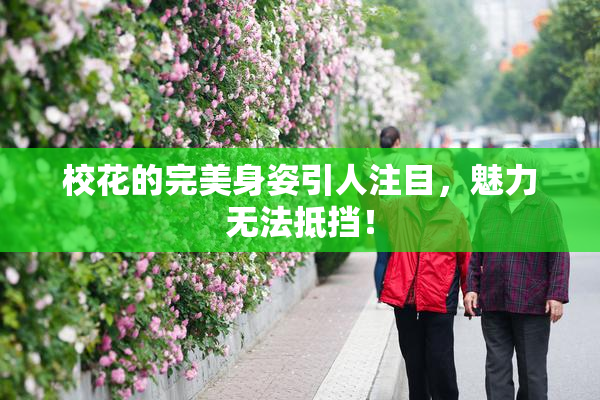校花的完美身姿引人注目，魅力无法抵挡！