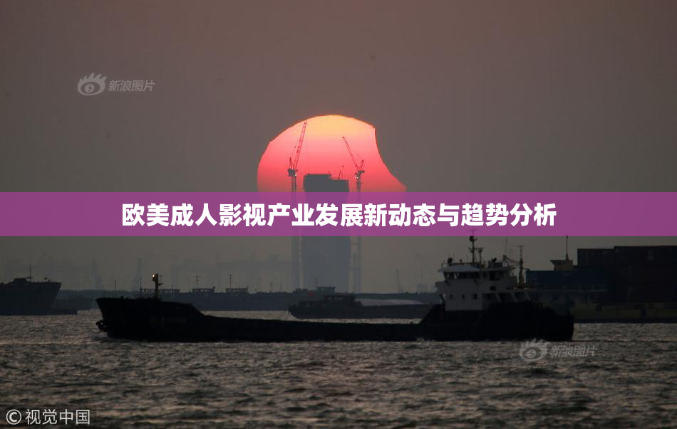 欧美成人影视产业发展新动态与趋势分析