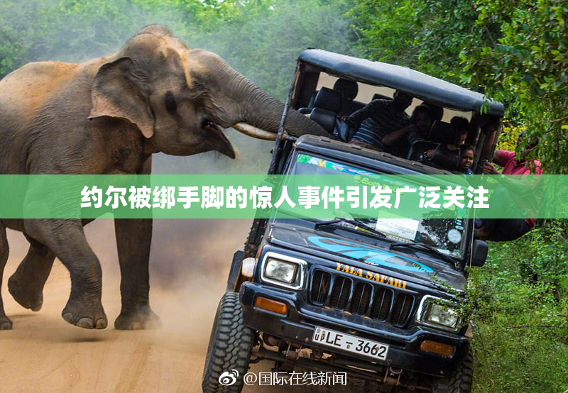 约尔被绑手脚的惊人事件引发广泛关注