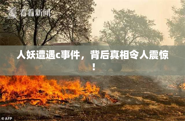 人妖遭遇c事件，背后真相令人震惊！