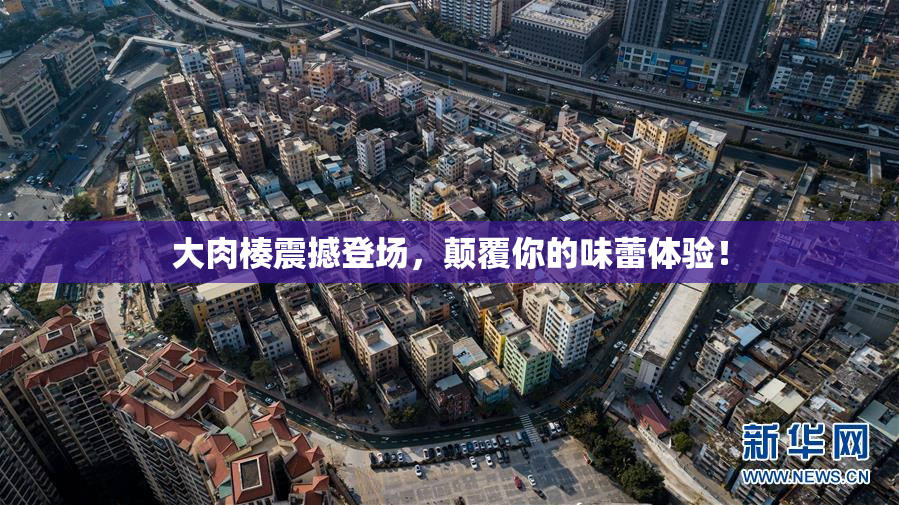 大肉楱震撼登场，颠覆你的味蕾体验！