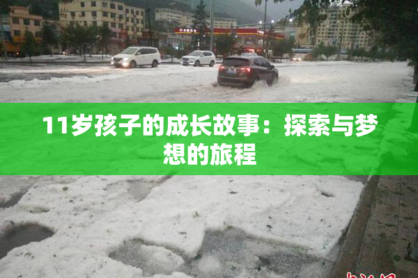 11岁孩子的成长故事：探索与梦想的旅程