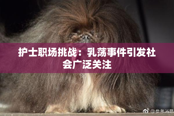 护士职场挑战：乳荡事件引发社会广泛关注