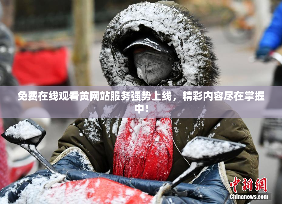 免费在线观看黄网站服务强势上线，精彩内容尽在掌握中！