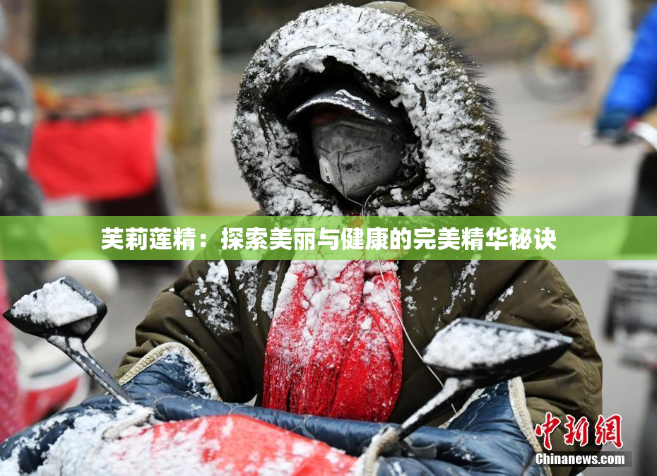 芙莉莲精：探索美丽与健康的完美精华秘诀