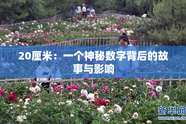 20厘米：一个神秘数字背后的故事与影响