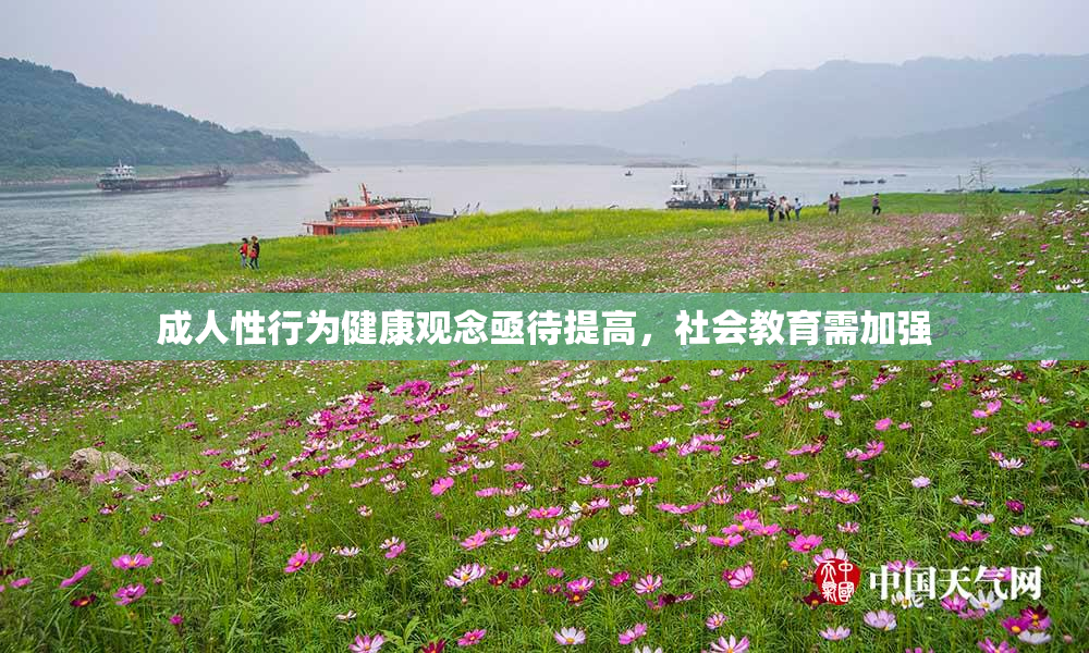 成人性行为健康观念亟待提高，社会教育需加强