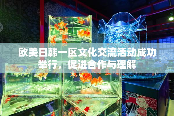 欧美日韩一区文化交流活动成功举行，促进合作与理解