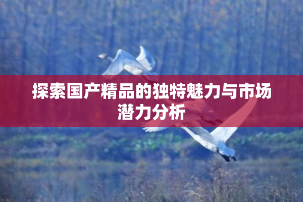 探索国产精品的独特魅力与市场潜力分析