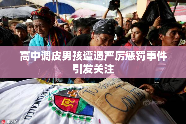 高中调皮男孩遭遇严厉惩罚事件引发关注