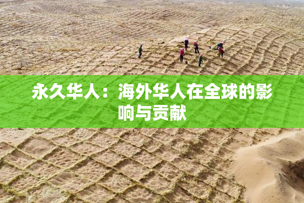 永久华人：海外华人在全球的影响与贡献