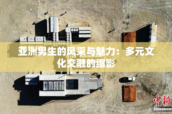 亚洲男生的风采与魅力：多元文化交融的缩影