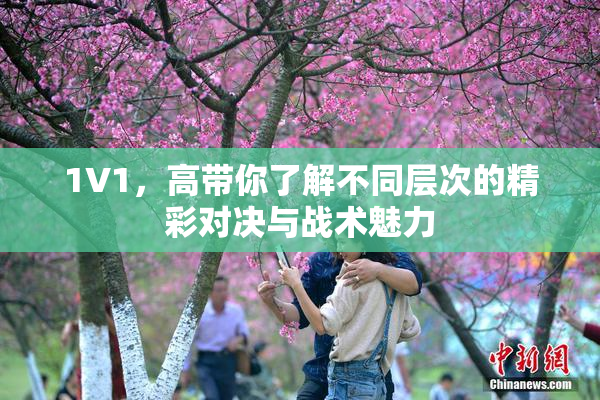 1V1，高带你了解不同层次的精彩对决与战术魅力