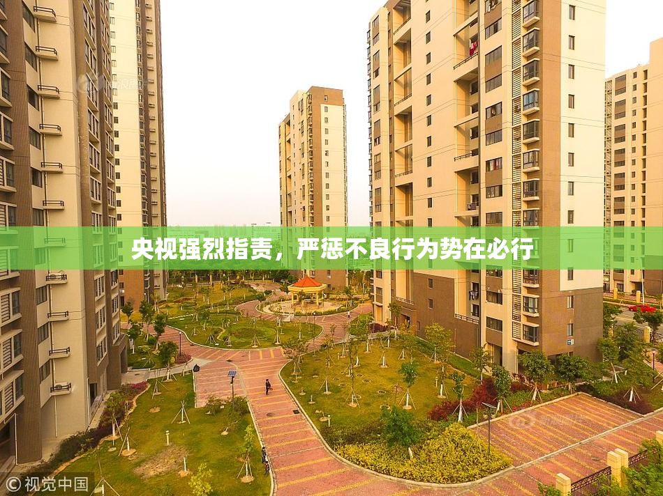 央视强烈指责，严惩不良行为势在必行