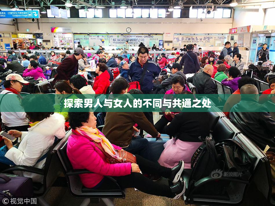 探索男人与女人的不同与共通之处