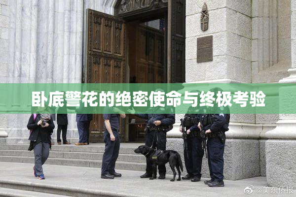 卧底警花的绝密使命与终极考验
