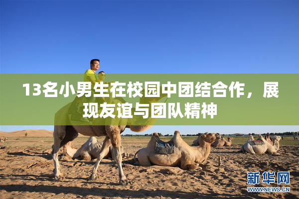 13名小男生在校园中团结合作，展现友谊与团队精神