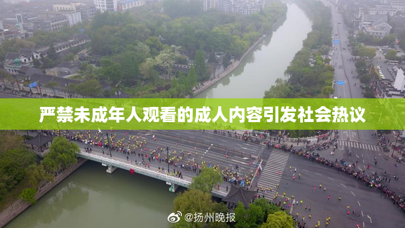 严禁未成年人观看的成人内容引发社会热议