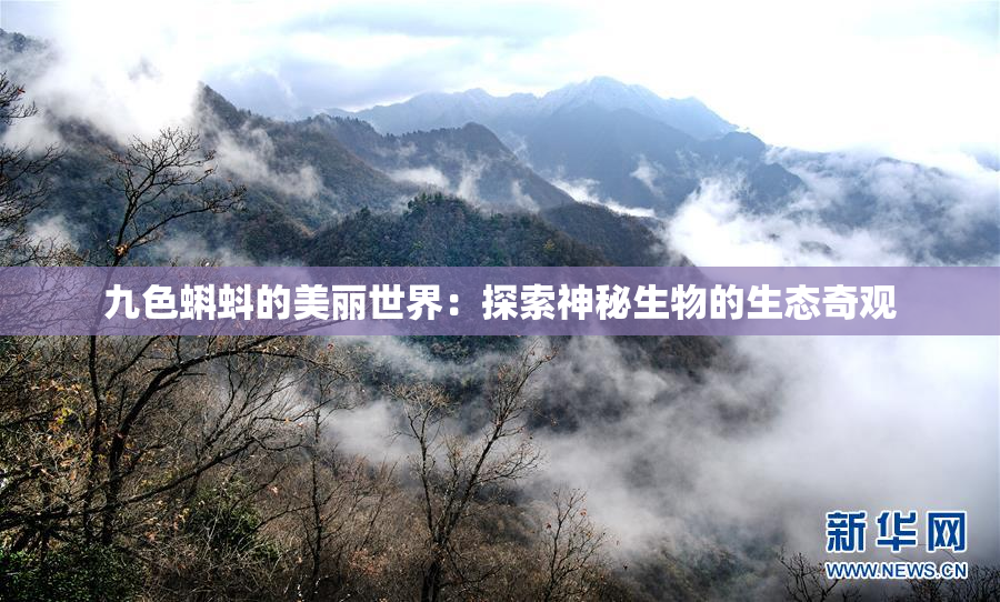 九色蝌蚪的美丽世界：探索神秘生物的生态奇观