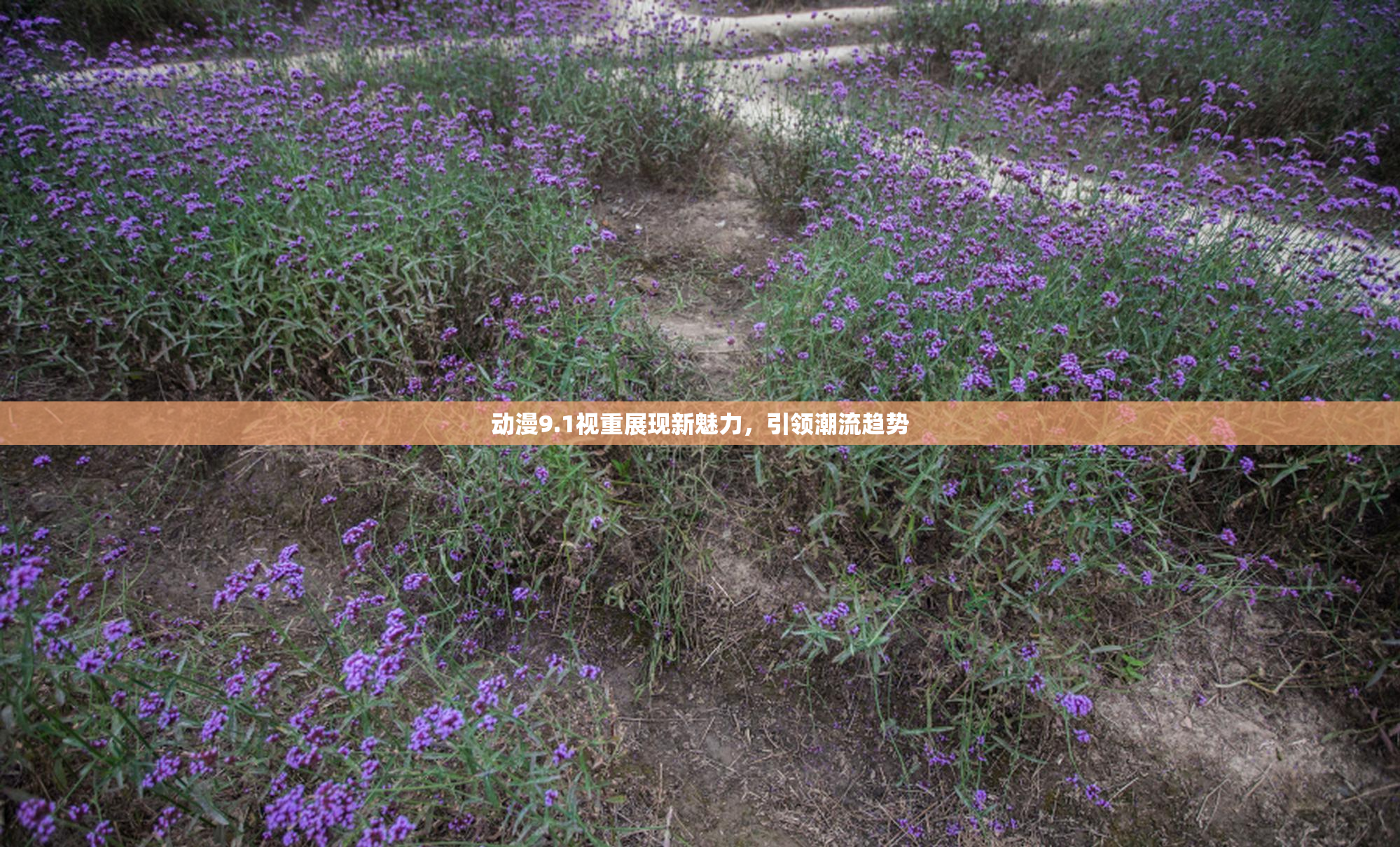 动漫9.1视重展现新魅力，引领潮流趋势