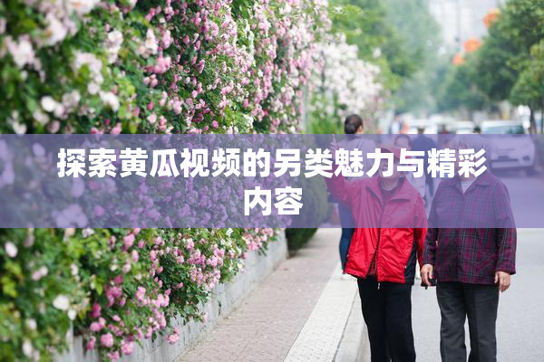 探索黄瓜视频的另类魅力与精彩内容