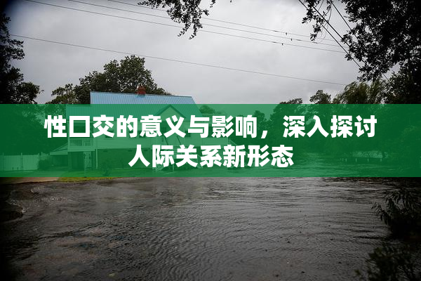 性囗交的意义与影响，深入探讨人际关系新形态