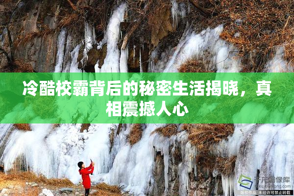 冷酷校霸背后的秘密生活揭晓，真相震撼人心
