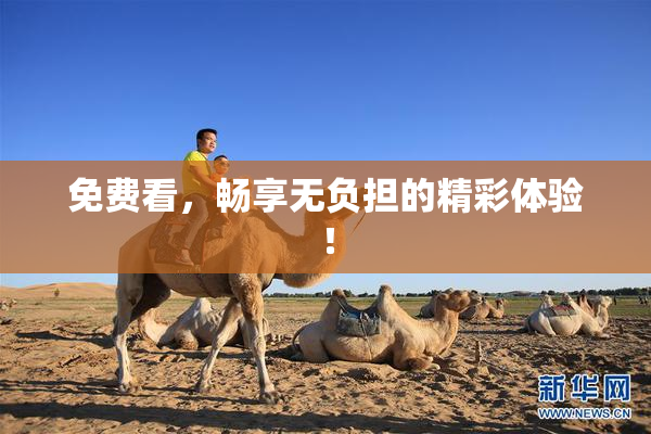 免费看，畅享无负担的精彩体验！