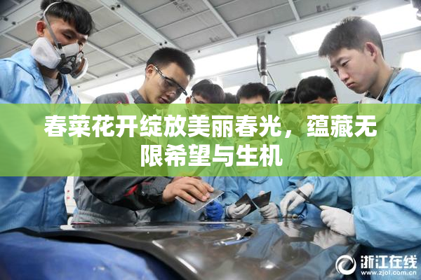 春菜花开绽放美丽春光，蕴藏无限希望与生机
