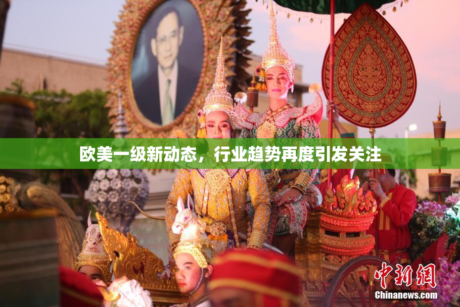 欧美一级新动态，行业趋势再度引发关注
