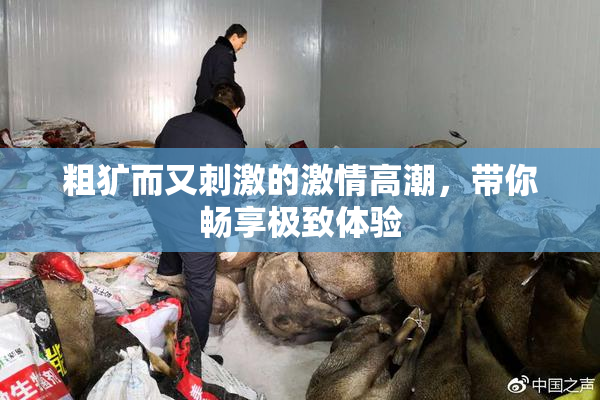 粗犷而又刺激的激情高潮，带你畅享极致体验