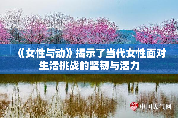 《女性与动》揭示了当代女性面对生活挑战的坚韧与活力