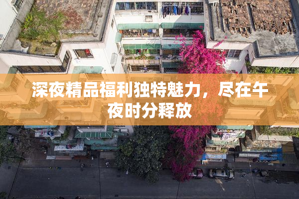 深夜精品福利独特魅力，尽在午夜时分释放